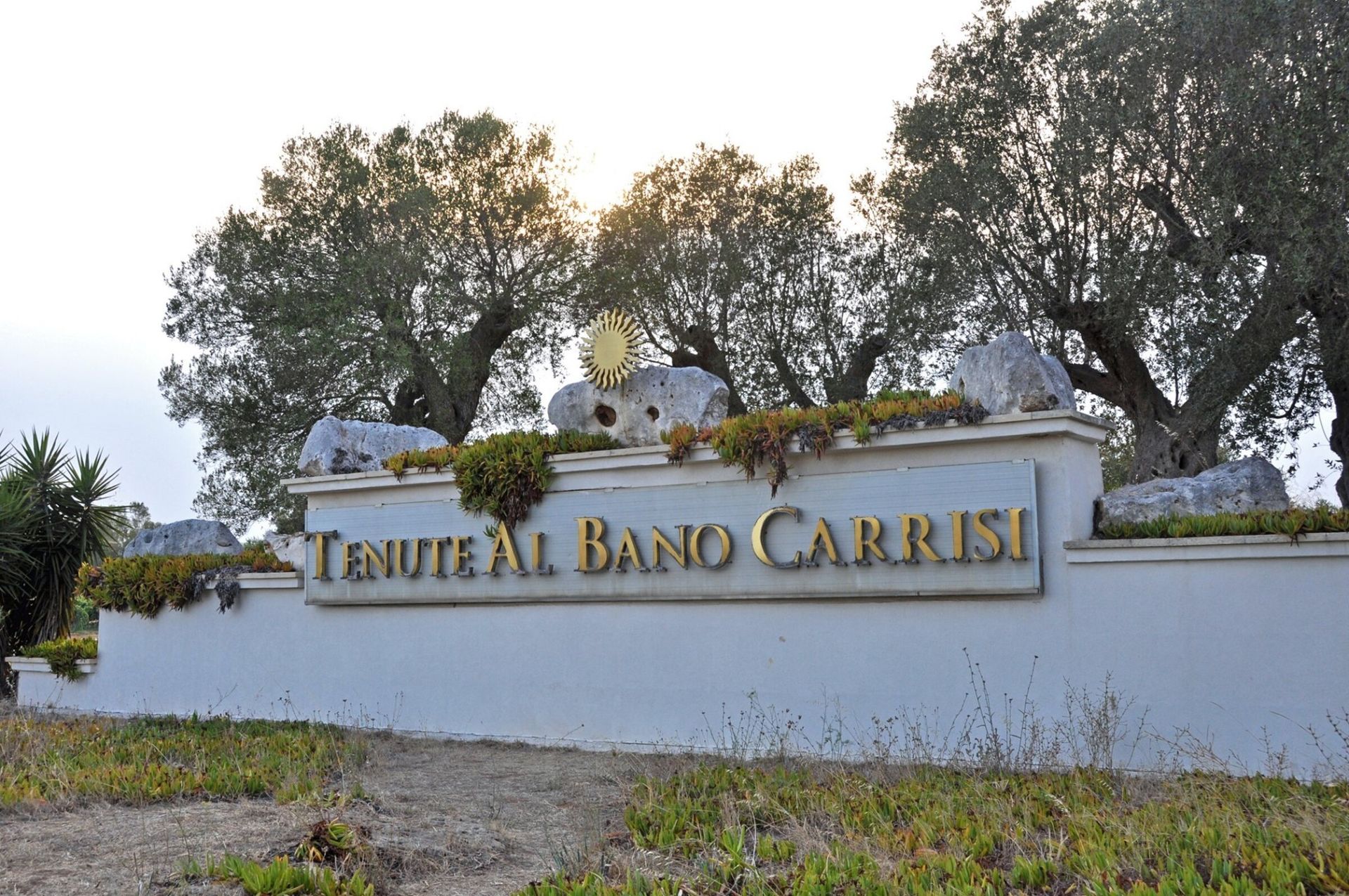 Tenute Al Bano, foto 14
