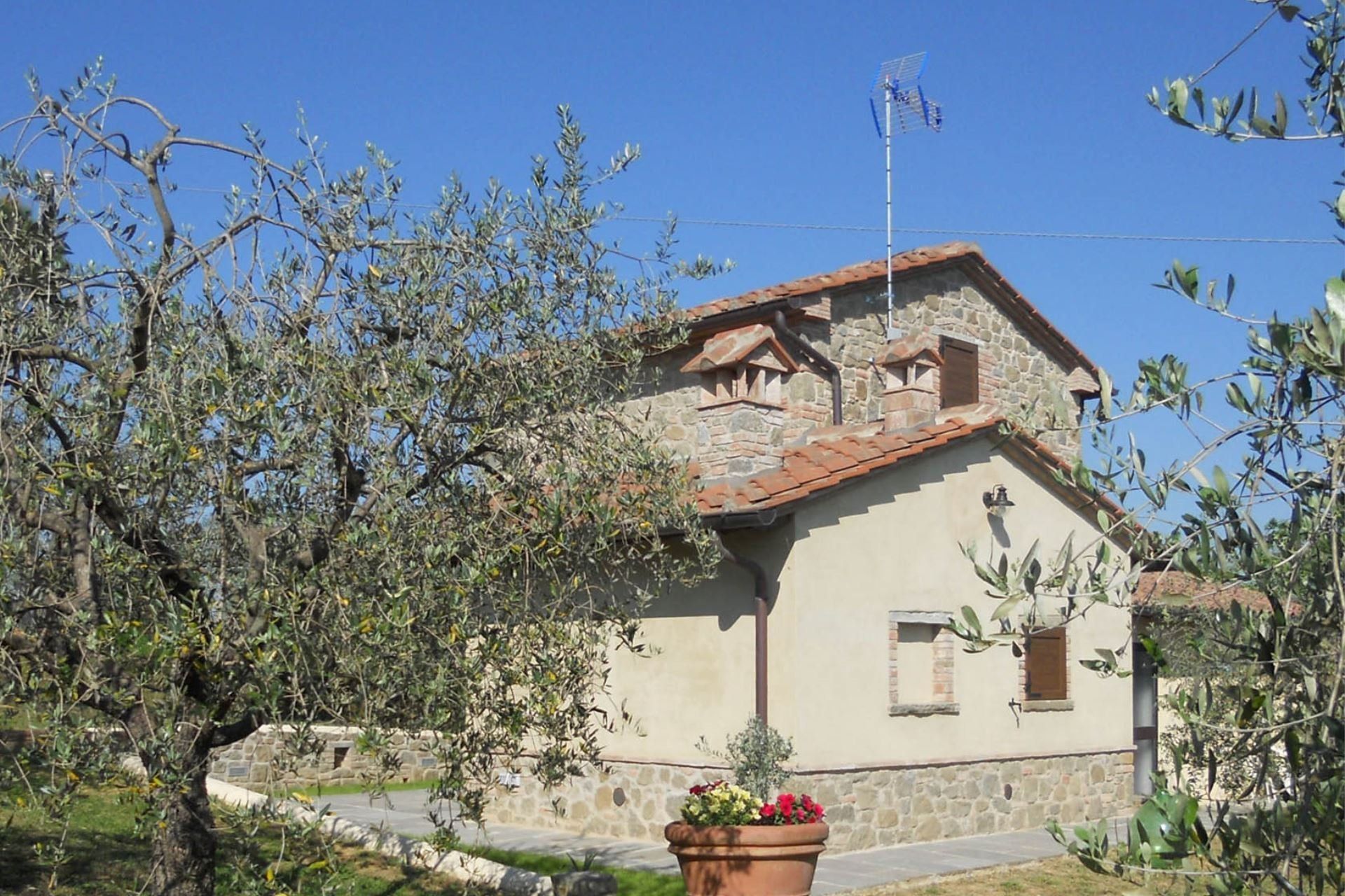Agriturismo Selva degli Ulivi, foto 3