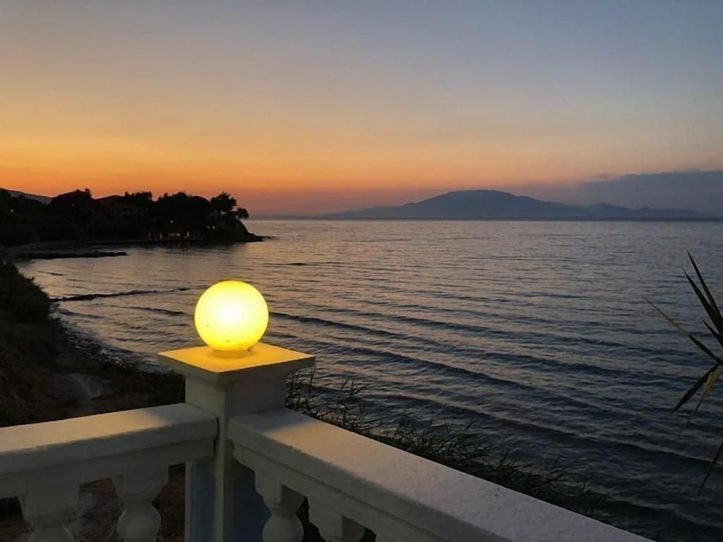 Clear Horizon, foto 9
