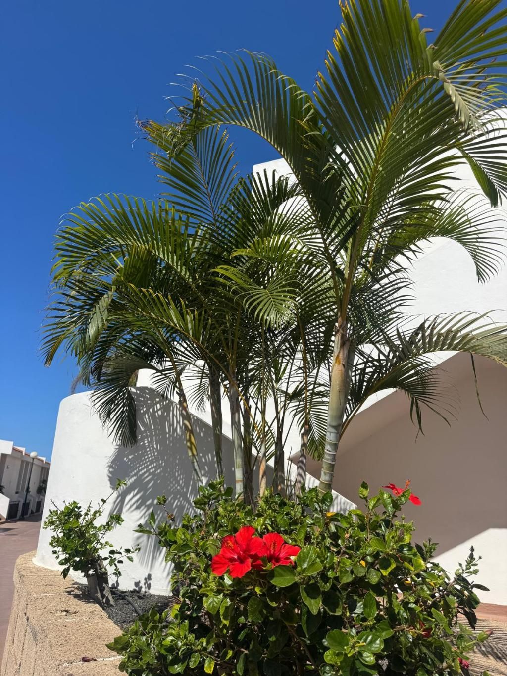 Hotel Malibu Park, foto 10