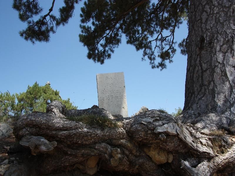 Hotel Rural Montaña de Cazorla, foto 11