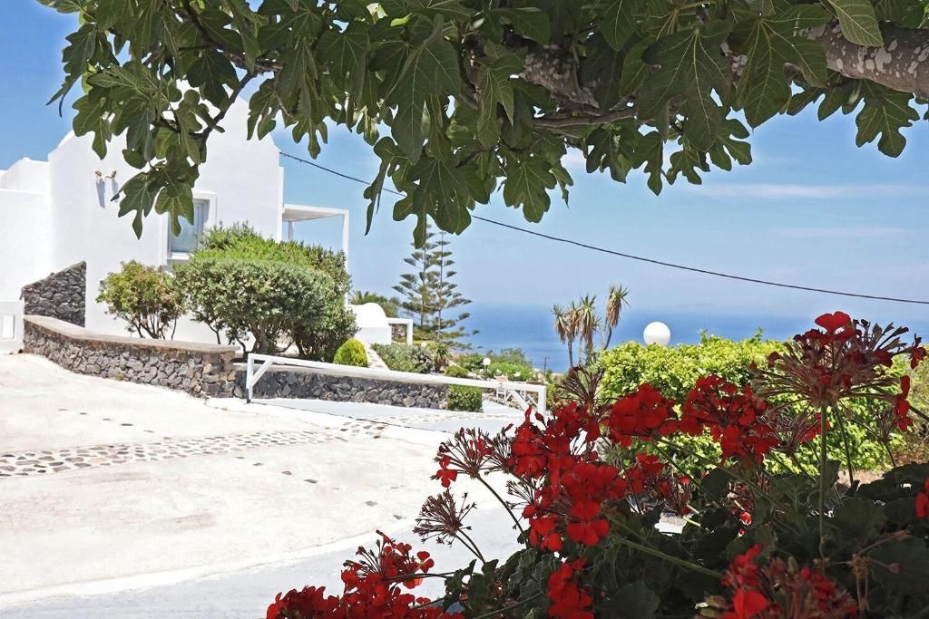 Phaos Santorini Suites, foto 15