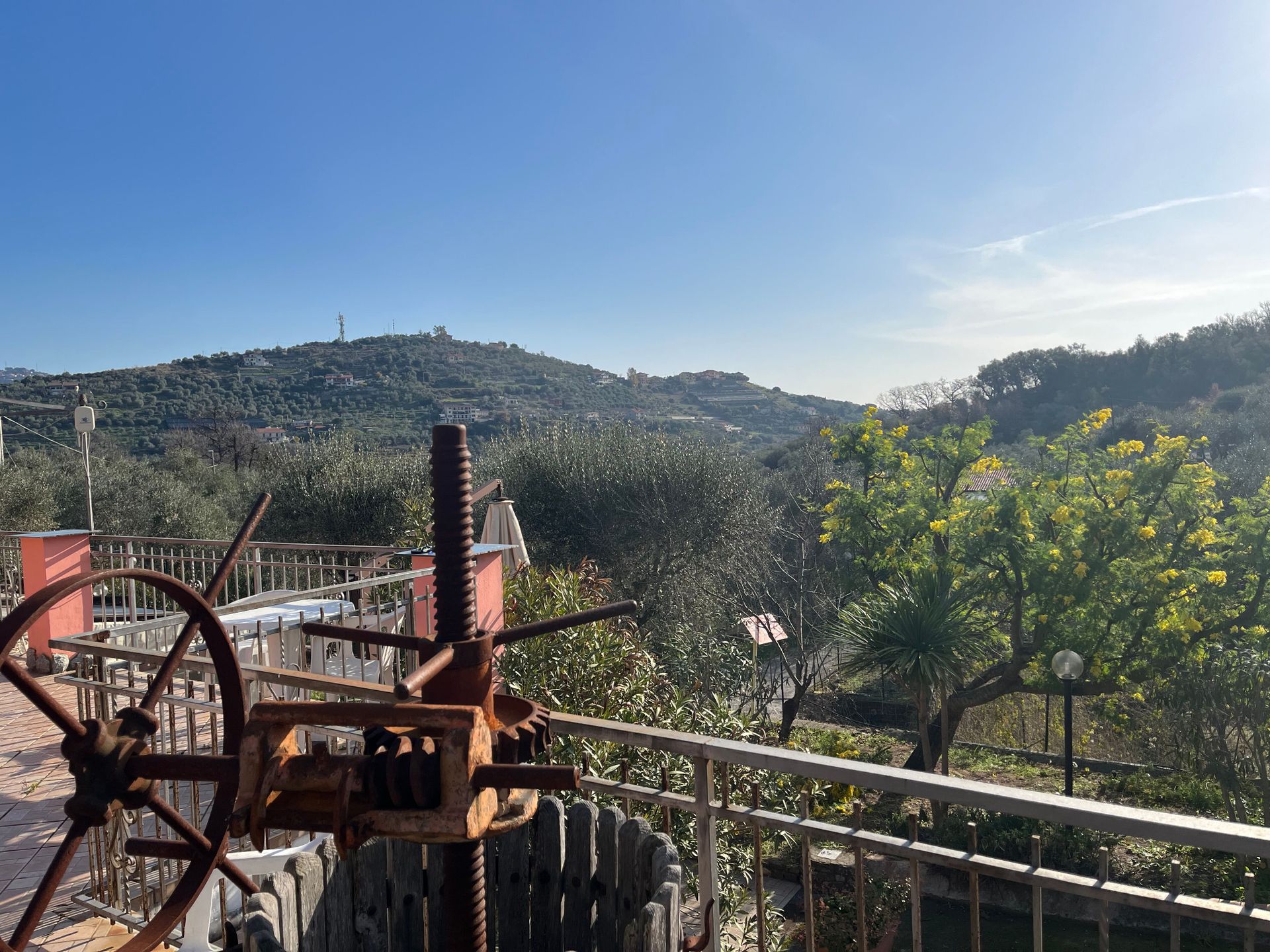Agriturismo Le Mimose, foto 6