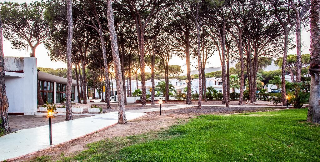 New Barcavela, foto 13