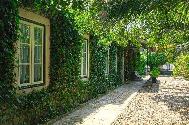 Casa do Foral, foto 14