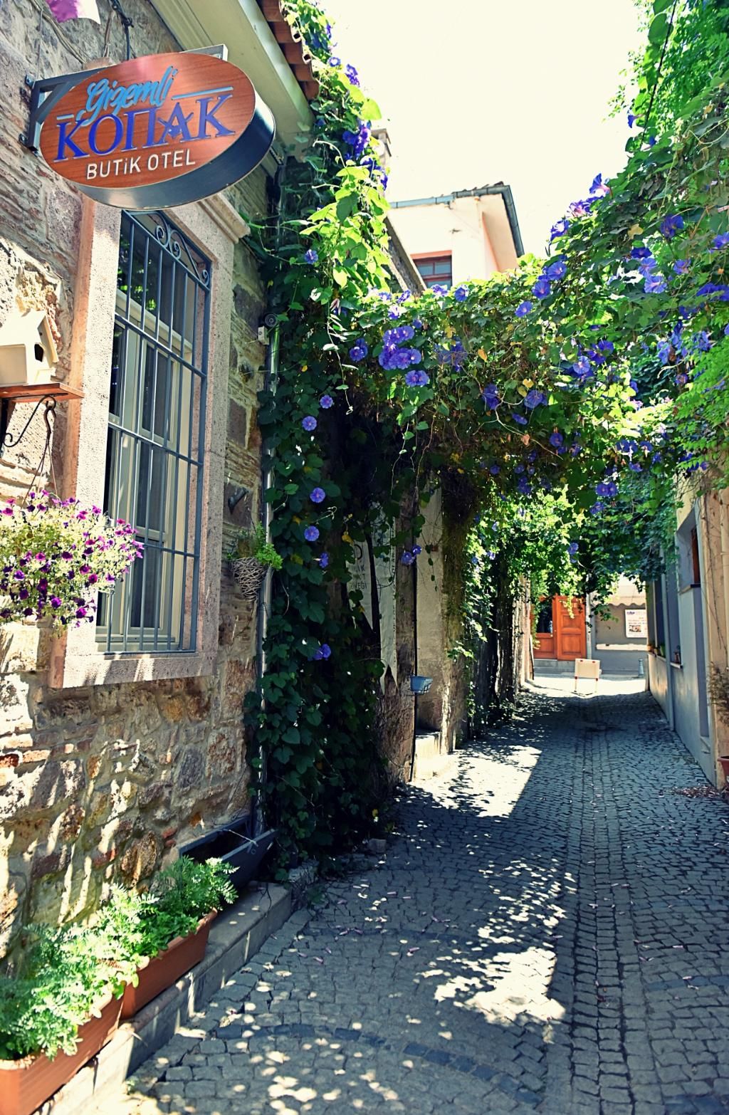 Gizemli Konak, foto 15