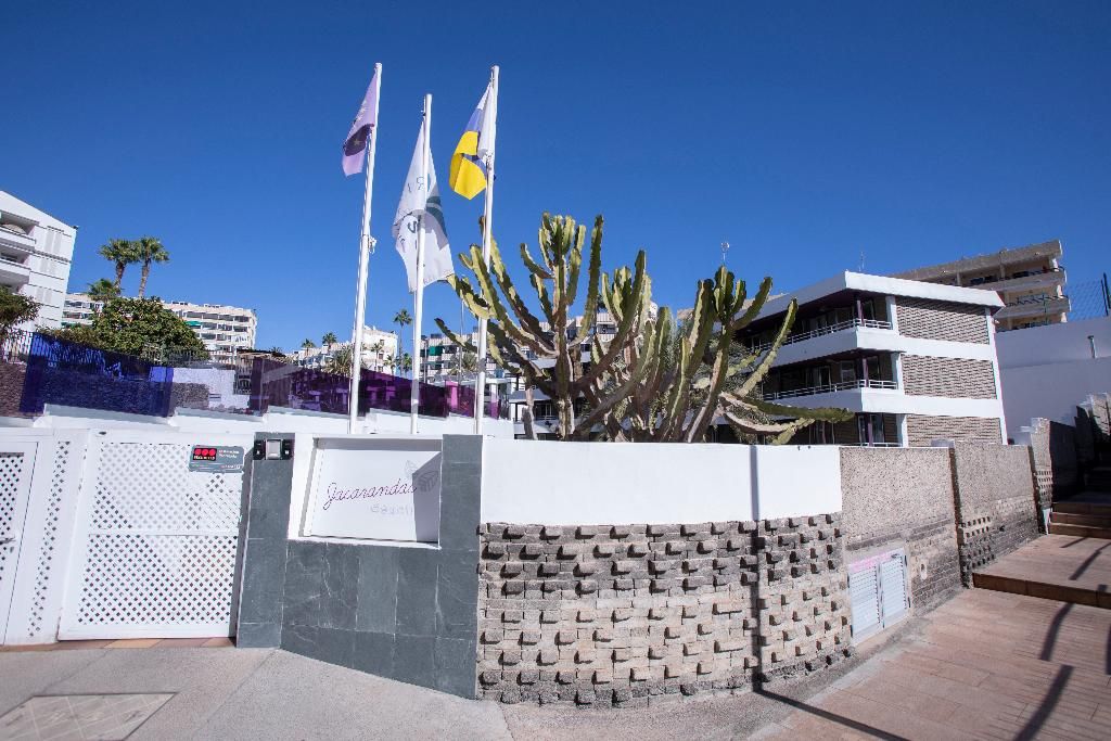 Jacarandas Beach, foto 15
