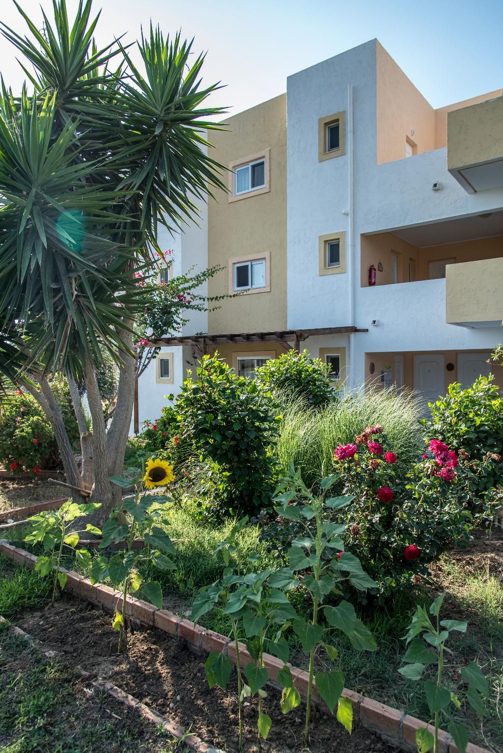 Byron Apartments, foto 6