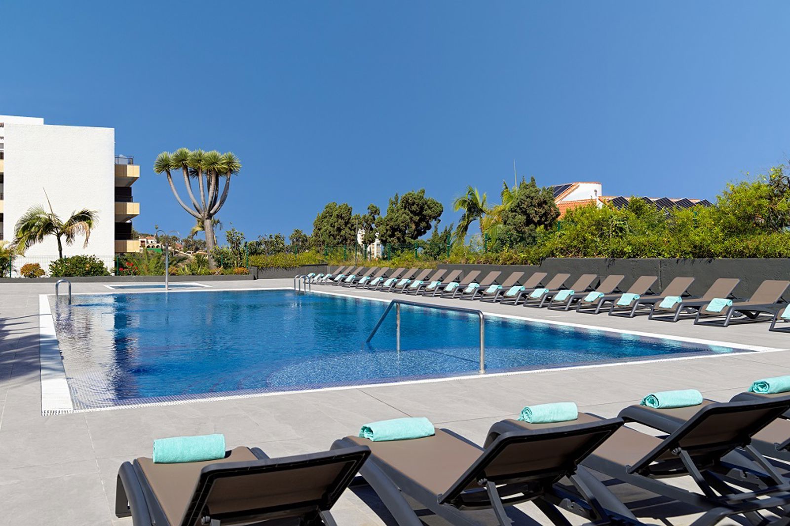 Fergus Puerto De La Cruz, foto 4