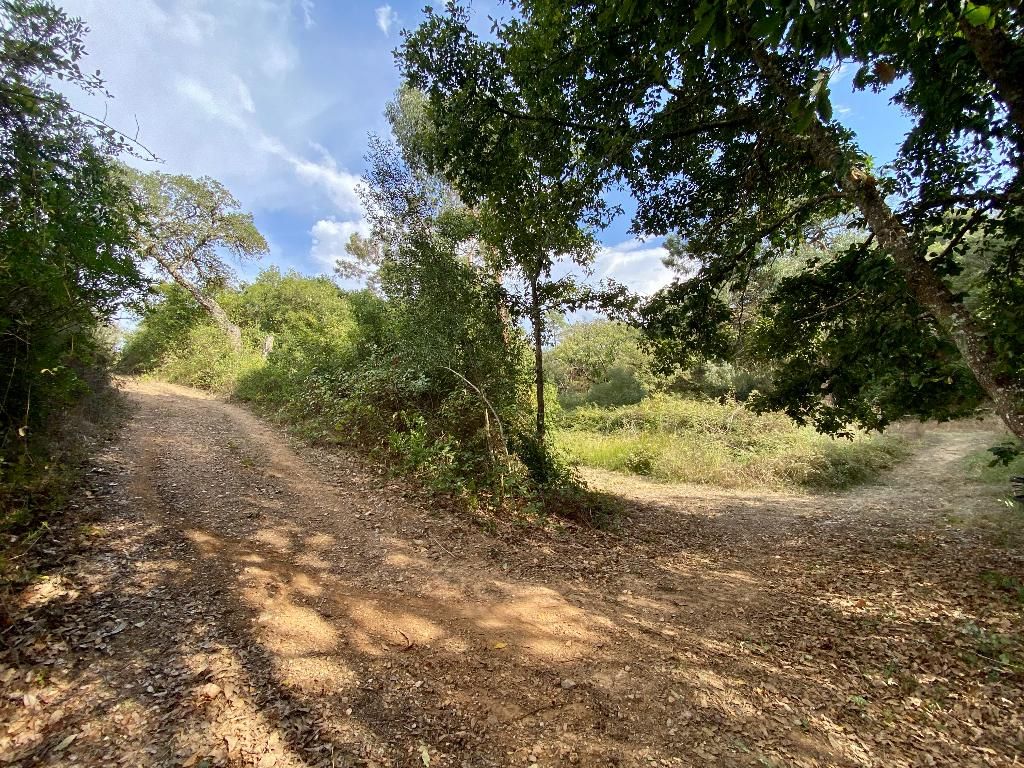 Monte do Zambujeiro, foto 8
