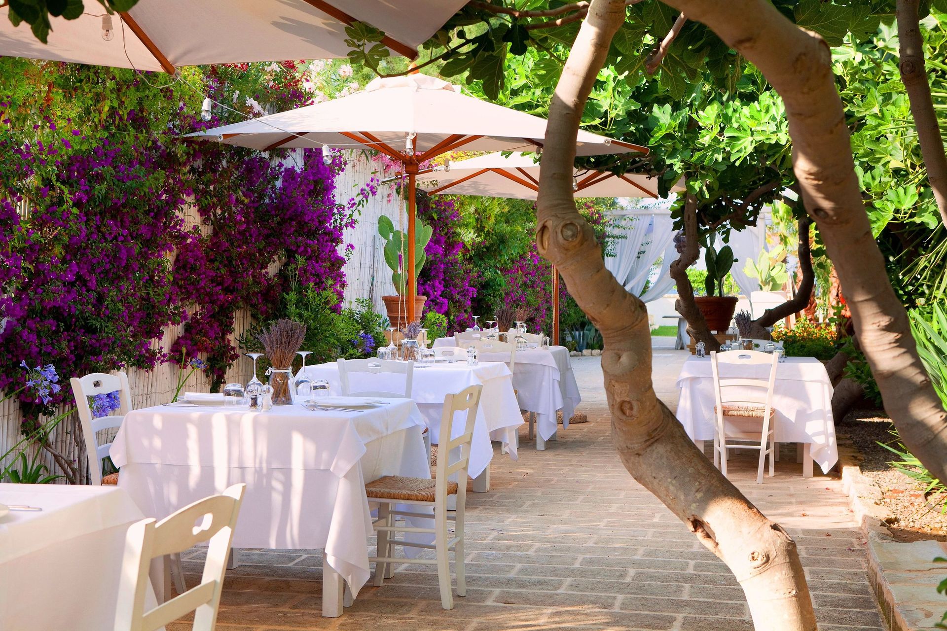 CanneBianche Lifestyle Hotel, foto 3