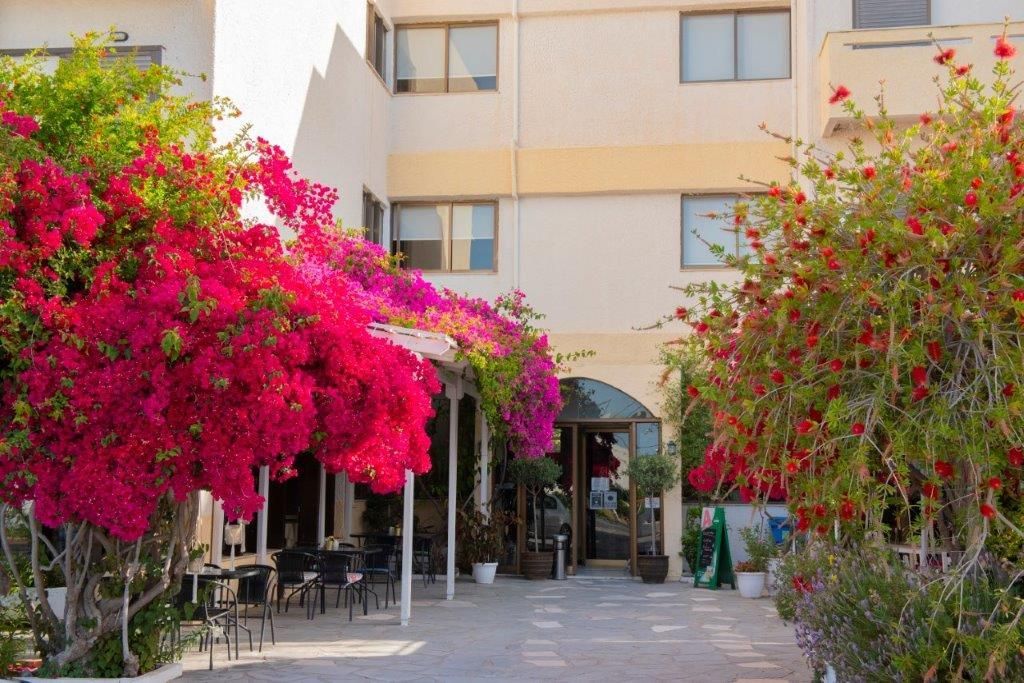 Hotel Esperides, foto 12