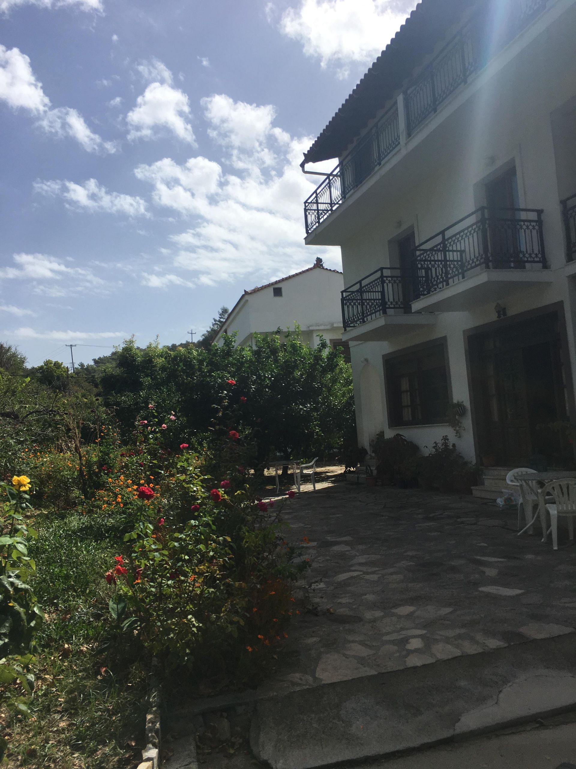 Alekos Rooms and Apartments, foto 8