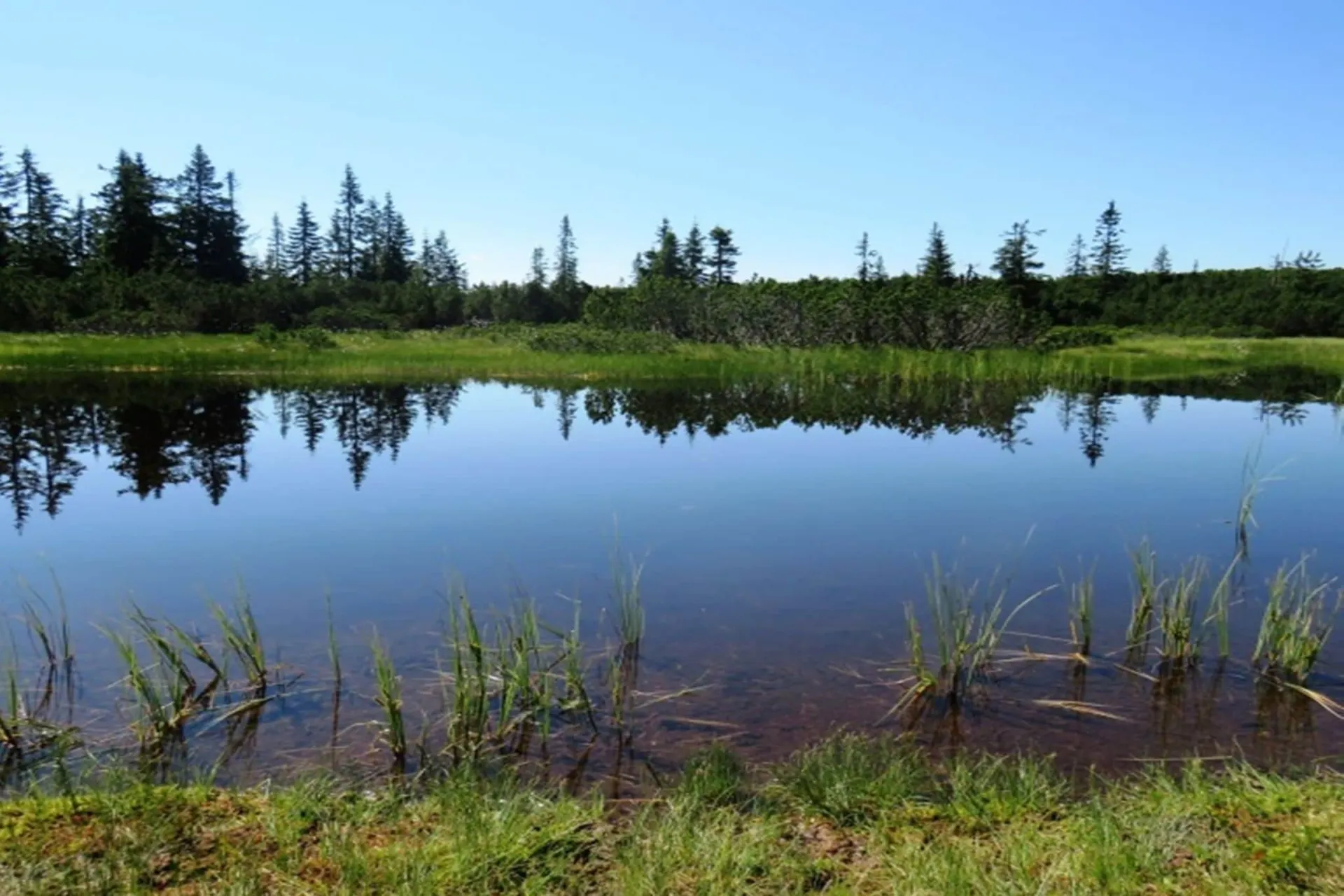 A proximité directe (été) (<1 km)