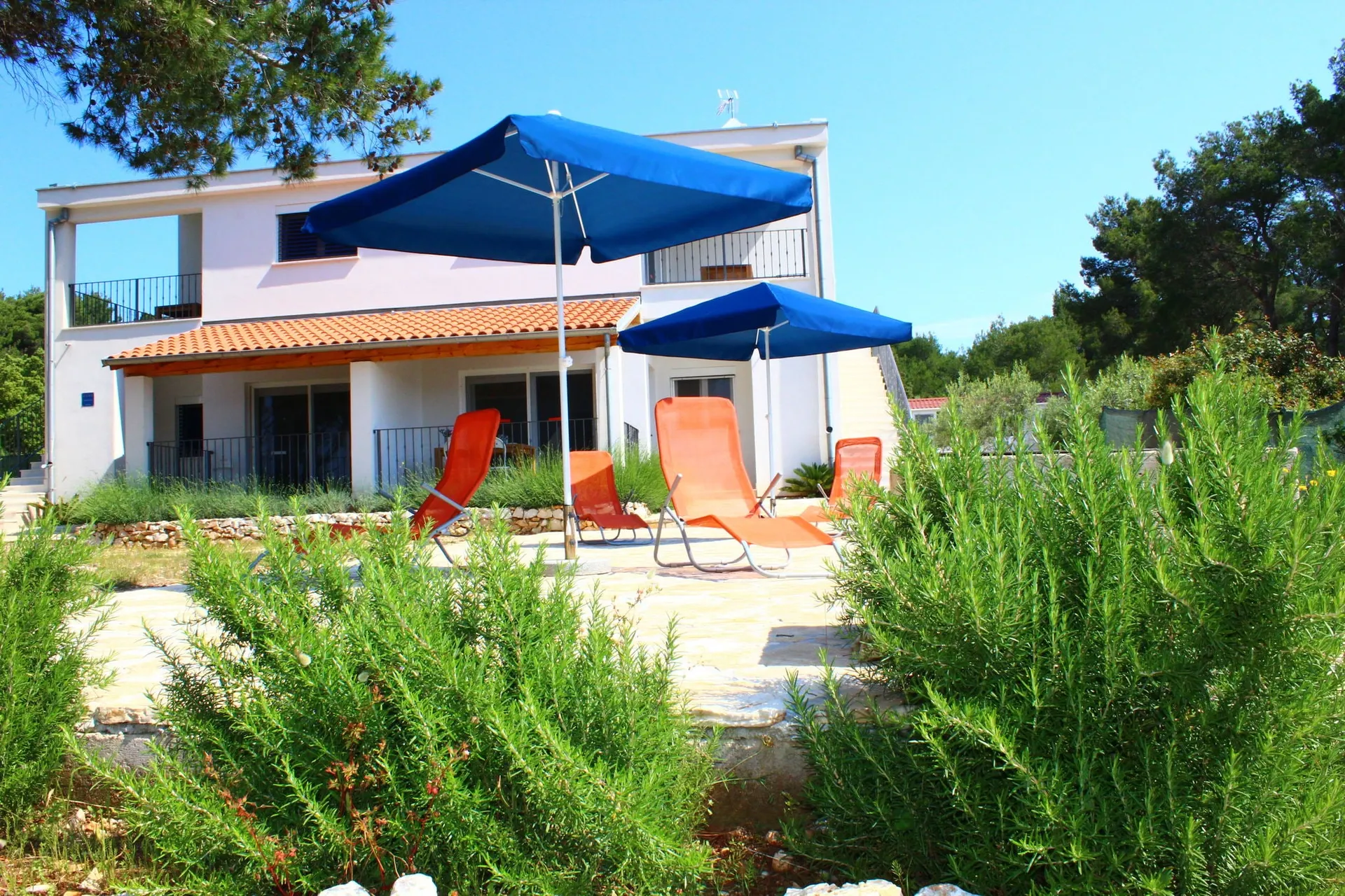 Exterieur vakantiehuis (zomer)