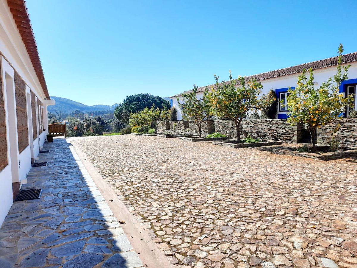 Naturarte, foto 2