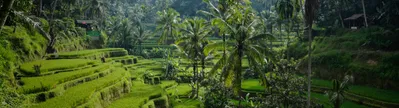 Faire du vélo dans les rizières, s'émerveiller devant d'immenses chutes d'eau, sauter de temple en temple,... Bali a tout pour plaire. Découvrez cette magnifique région d'Indonésie et réservez l'un de nos hôtels pour en profiter pleinement. 
