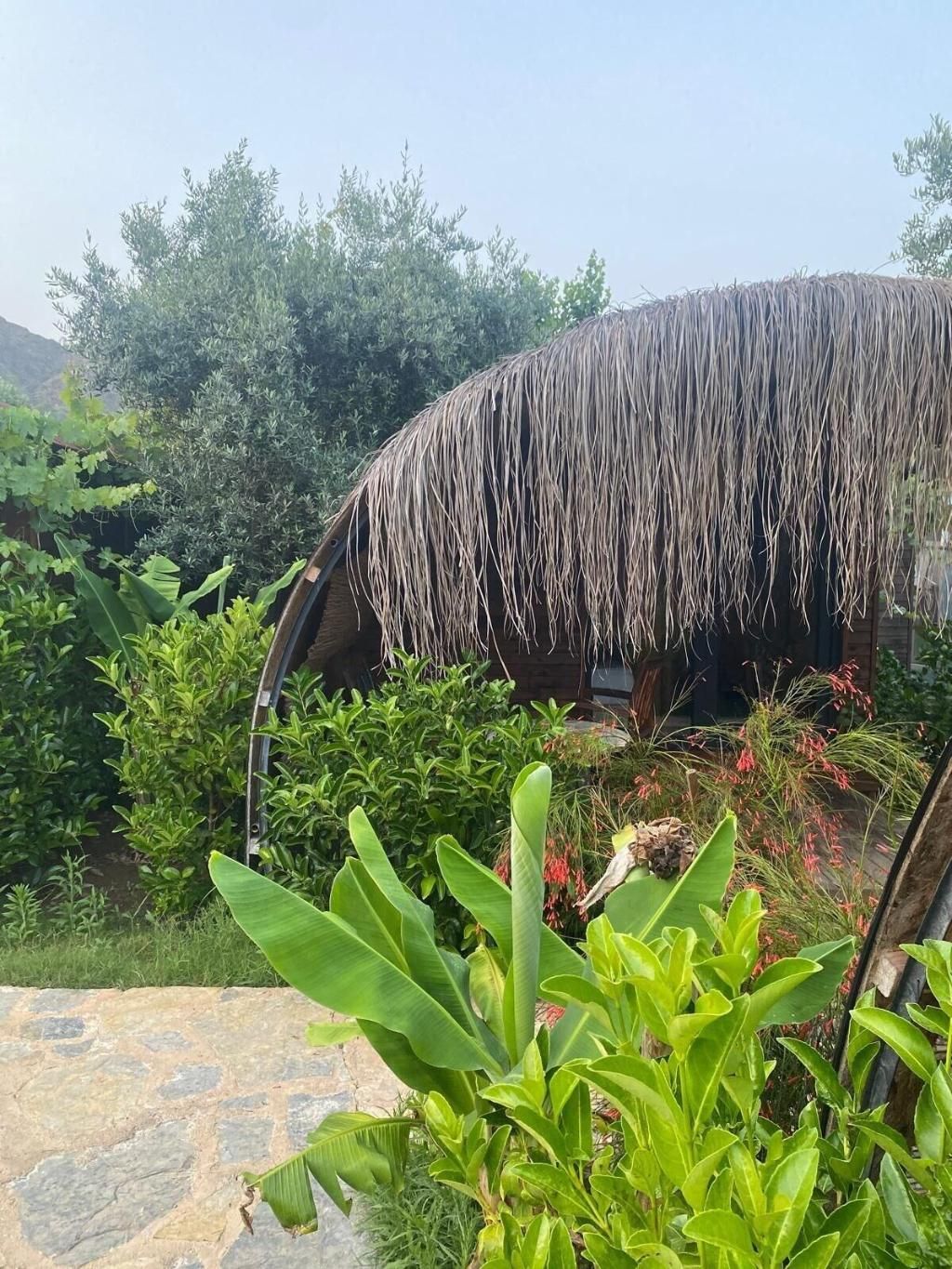 Turkuaz Bungalows, foto 12