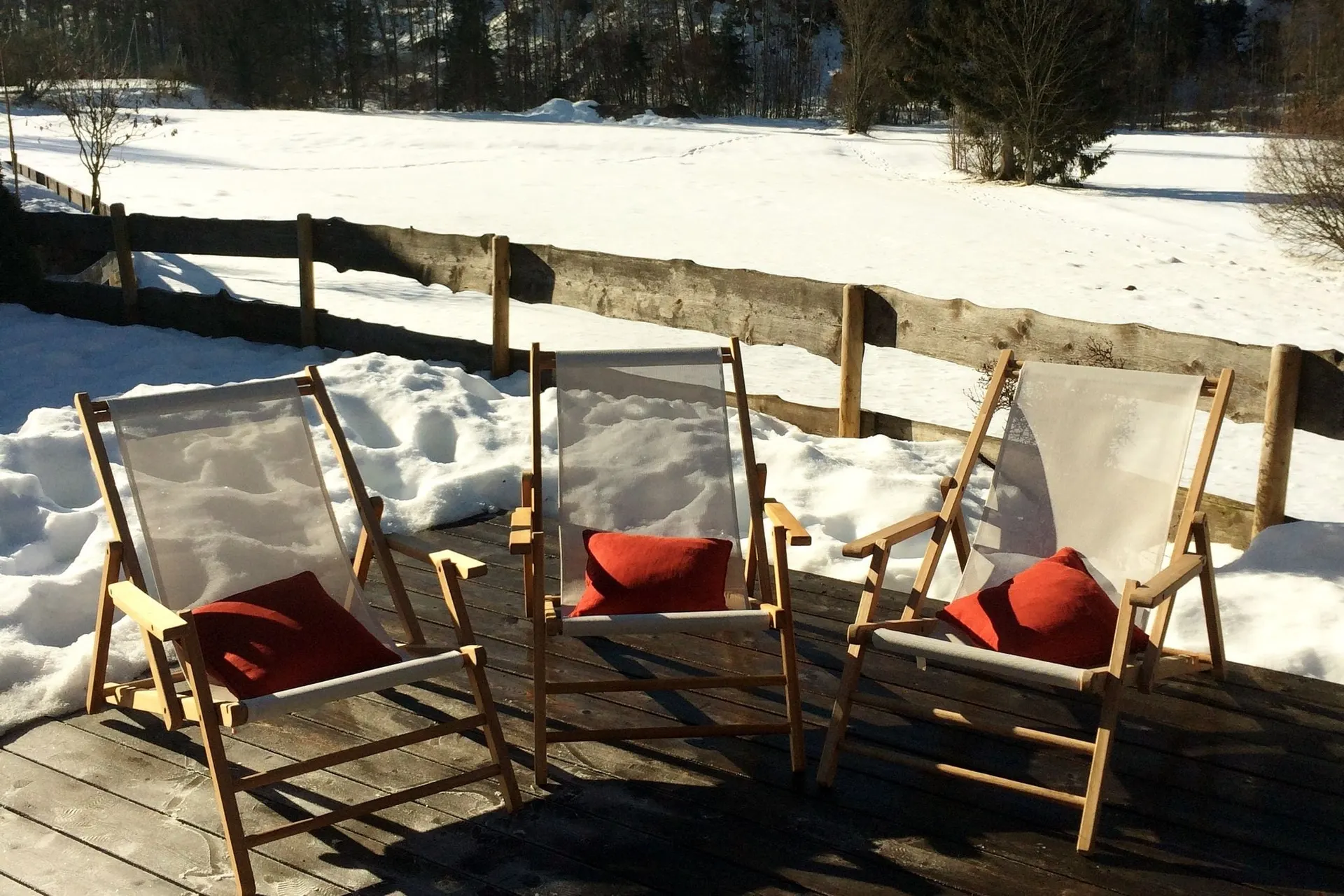 Jardin (hiver)