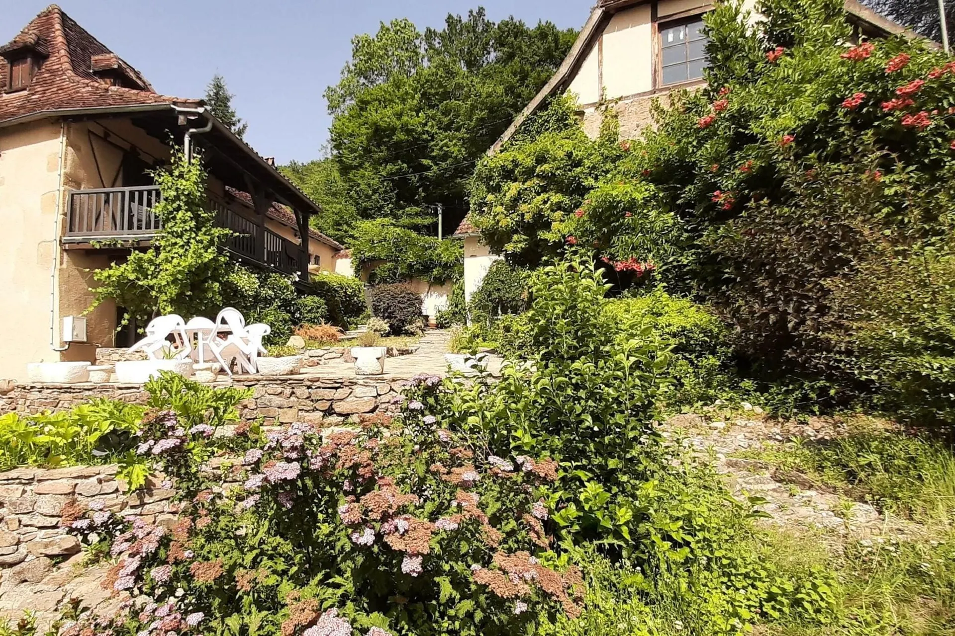 Jardin (été)