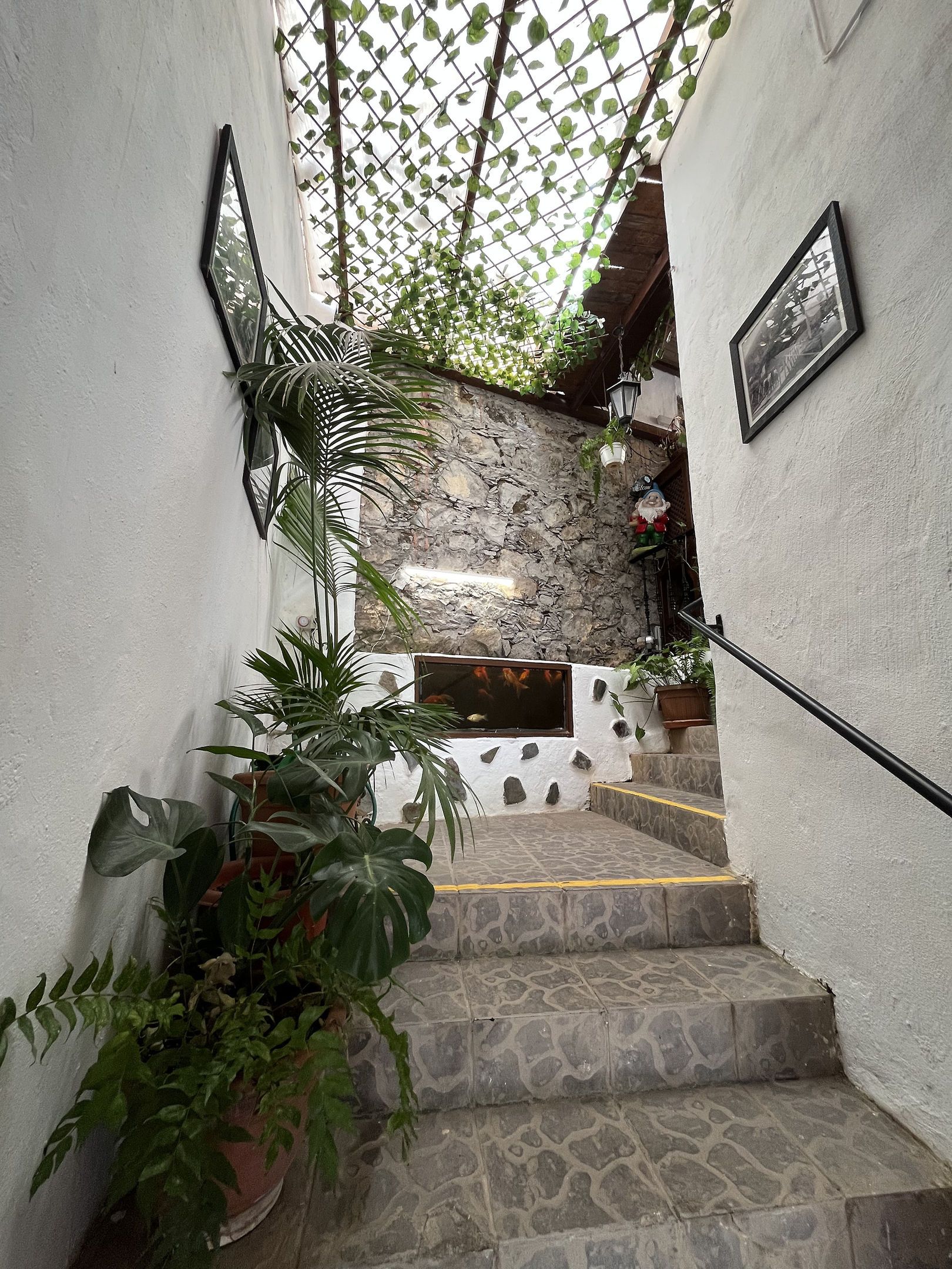 Villa Hermigua, foto 12