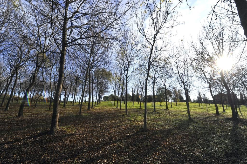 Il Podere Del Germano Reale, foto 12