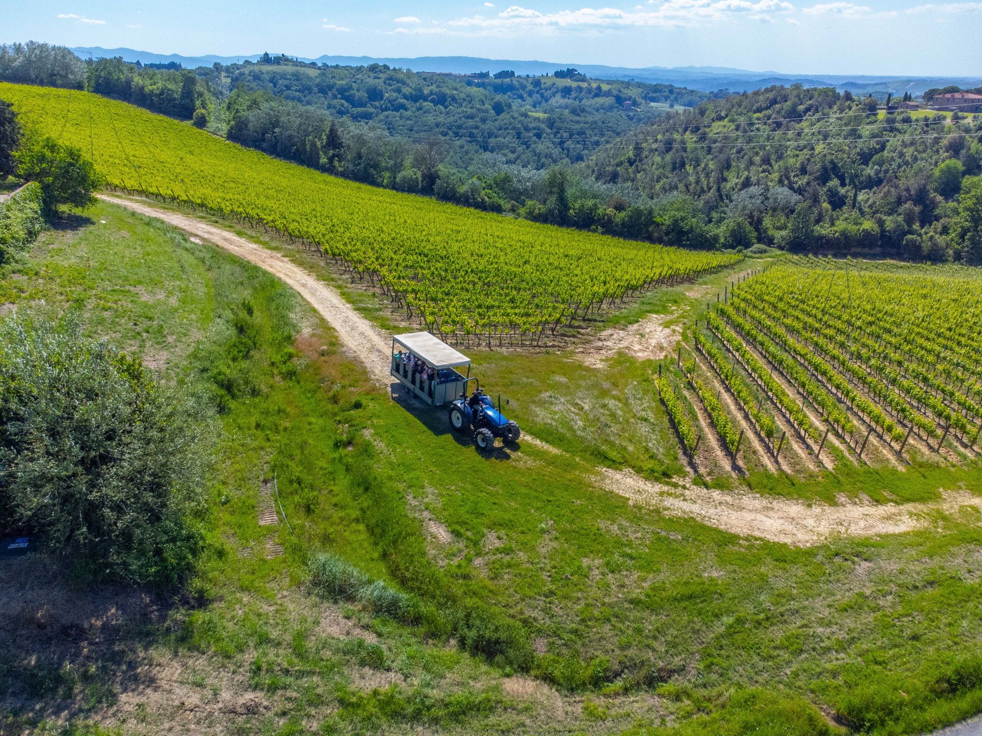 Tenuta Castellare di Tonda, foto 14