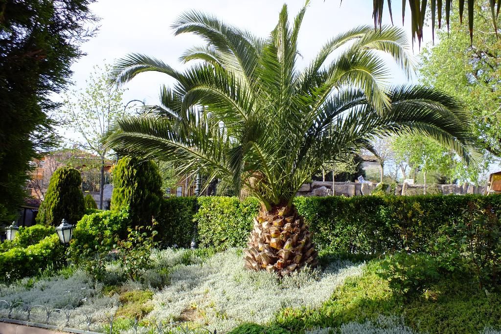 Turquhouse Boutique Hotel, foto 14