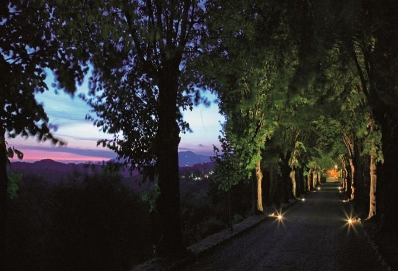 Borgo di Colleoli, foto 11