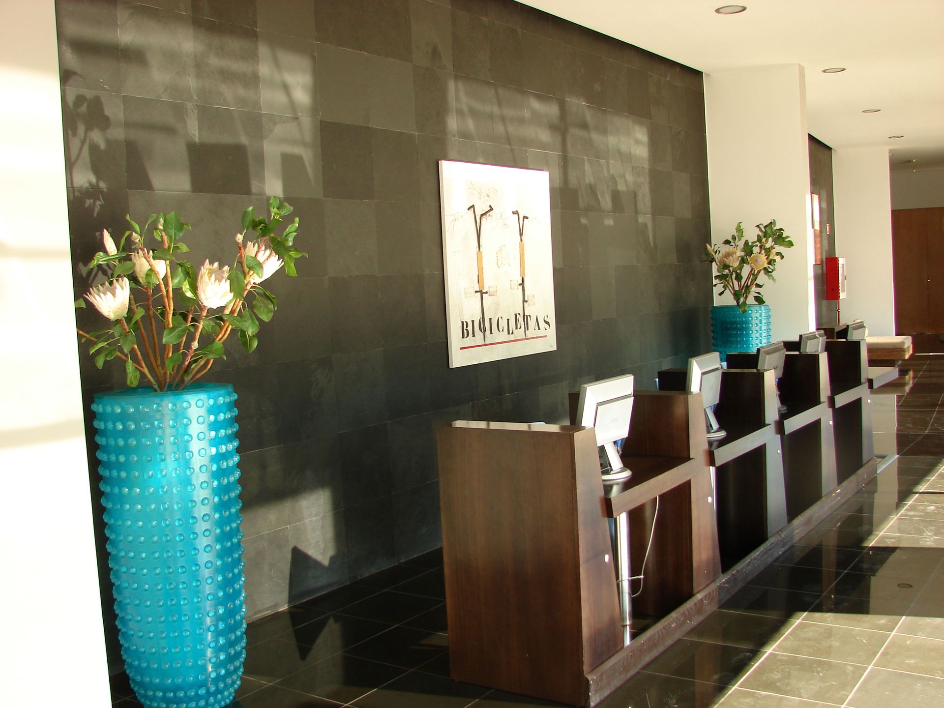 Oceano Atlantico Apartamentos Turisticos, foto 6