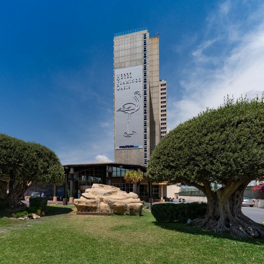 Flamingo Oasis, foto 11