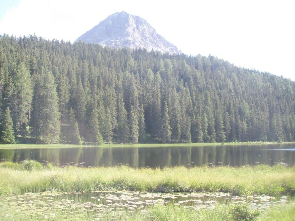 Erika, foto 15