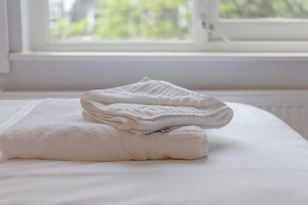 Garner Hotel London Victoria by IHG, foto 12