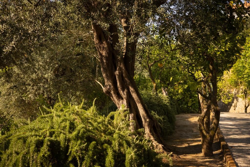 Villa Oriana Relais, foto 14