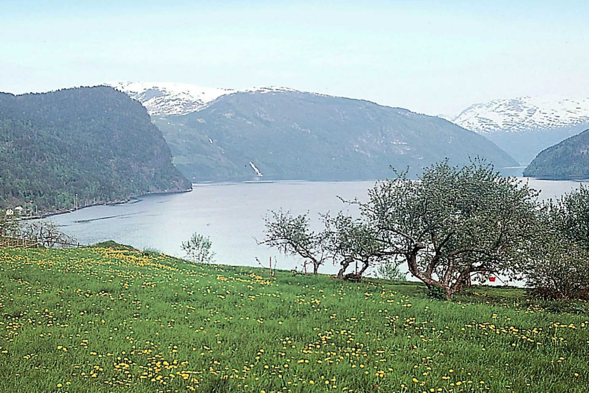 Vue sur l'eau