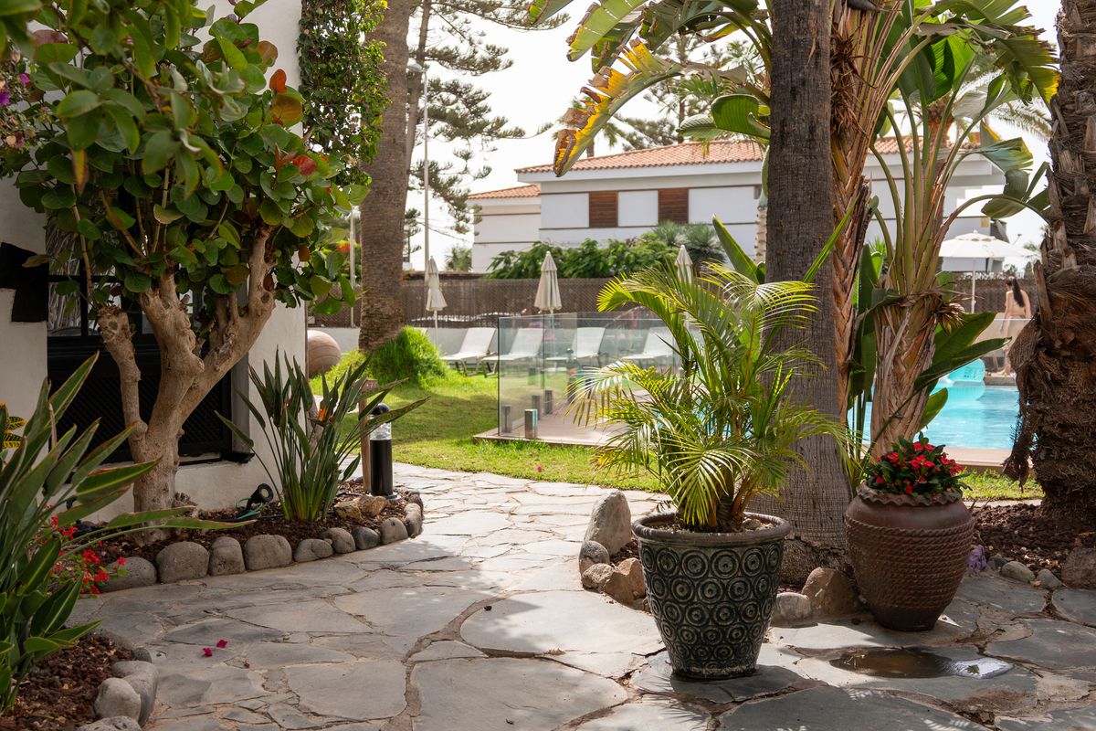 El Chaparral, foto 6