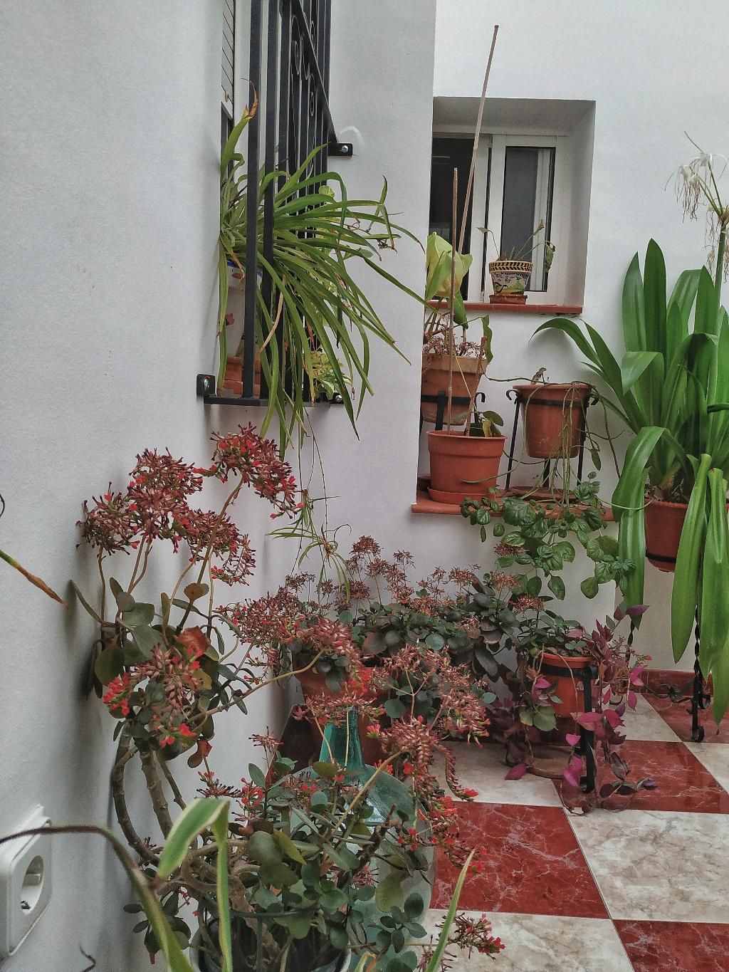 El Molino, foto 10