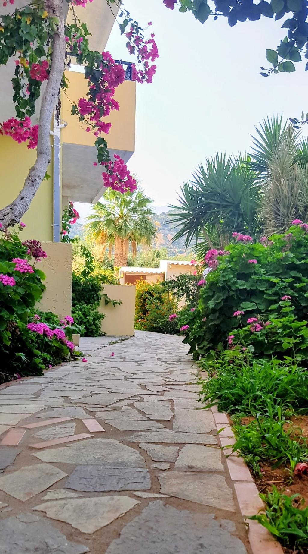 Stelios Residence Apartments, foto 8
