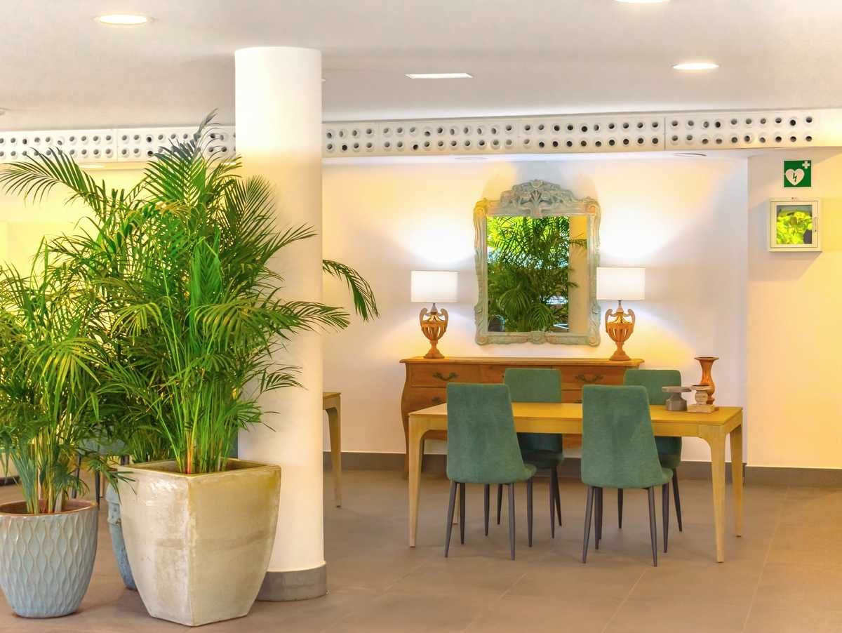 Hyde Park Lane, foto 11