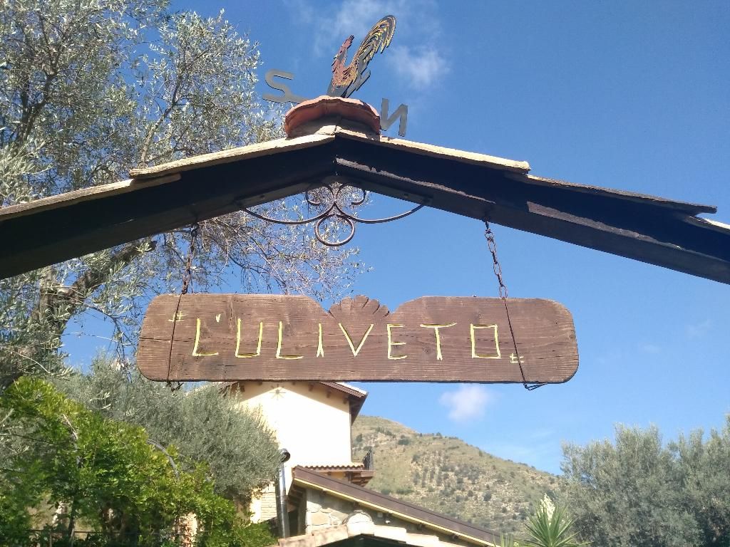 L'uliveto, foto 3