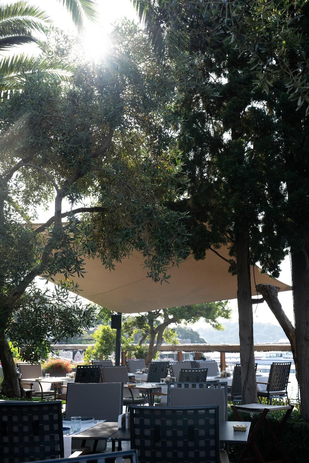 No:81 Hotel, foto 5