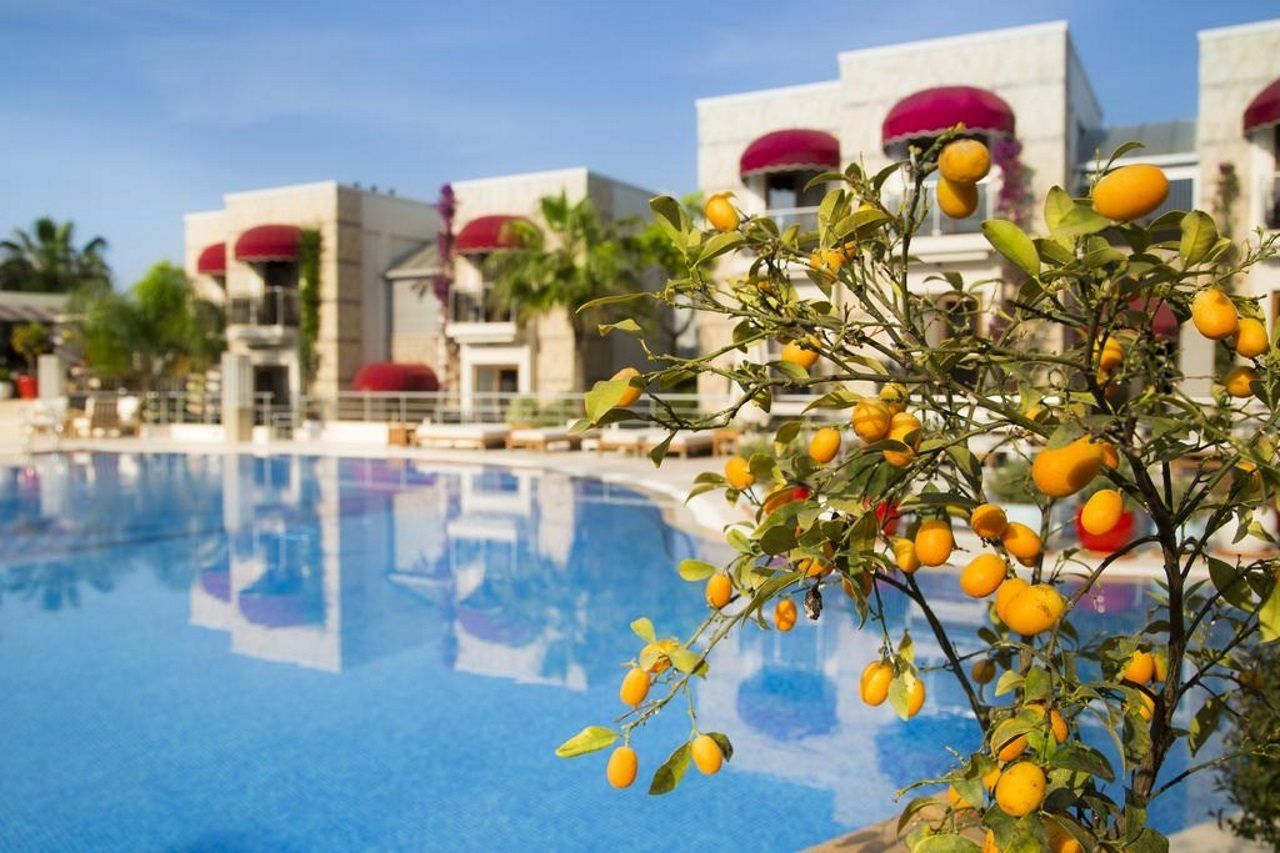 Bodrium Hotel & SPA, foto 10