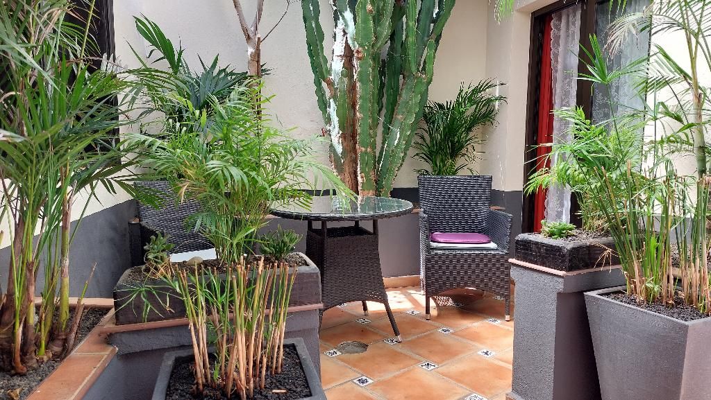 Apartamentos Monasterio de San Antonio, foto 15