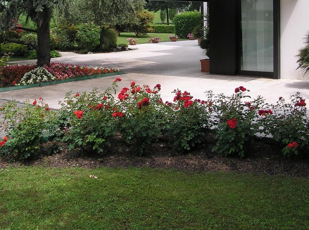 Giovanni, foto 5