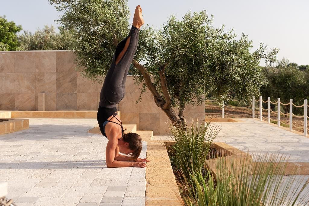 Momentum Wellness Bio-Resort, foto 12