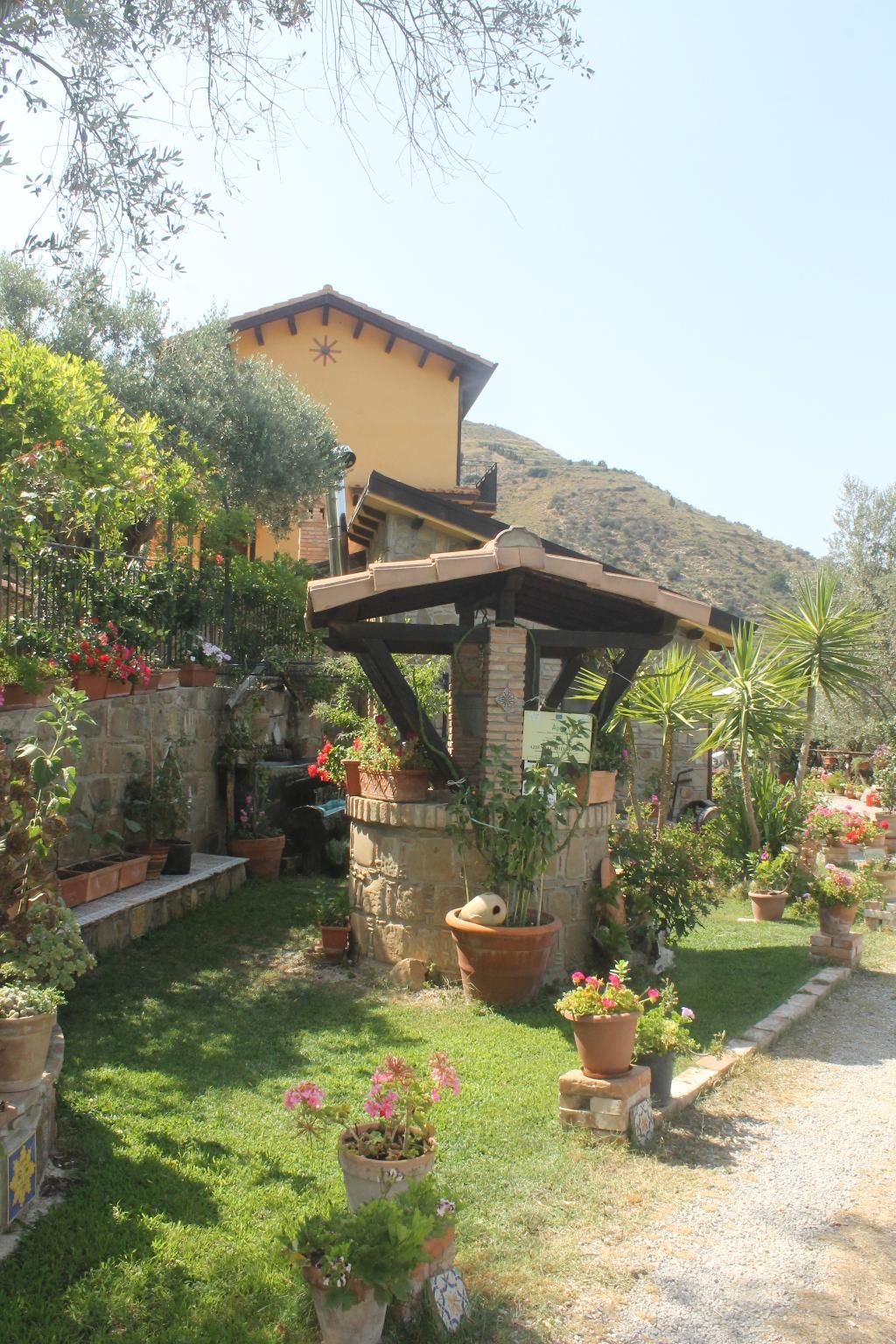 L'uliveto, foto 11
