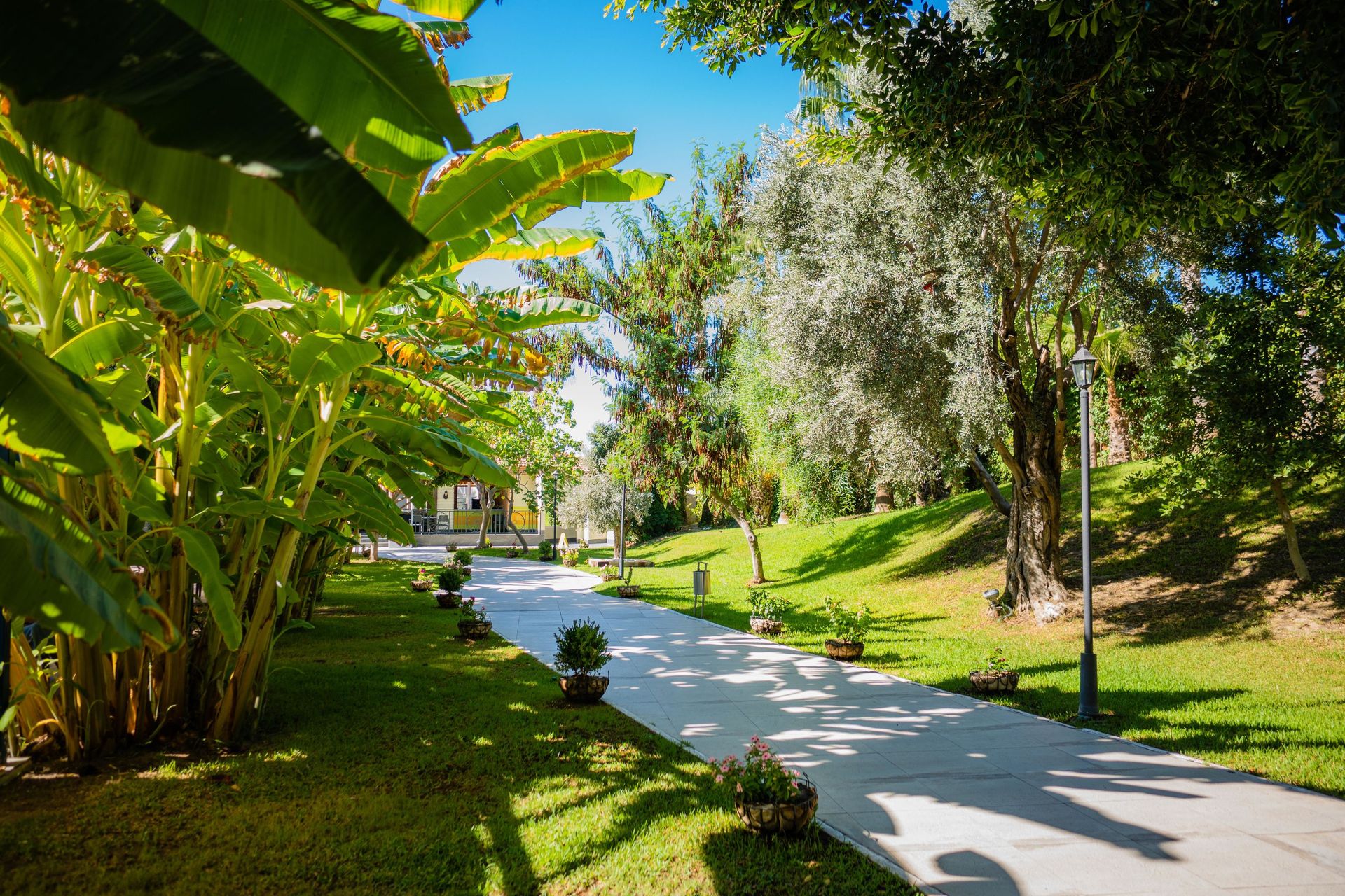 Süral Resort, foto 4