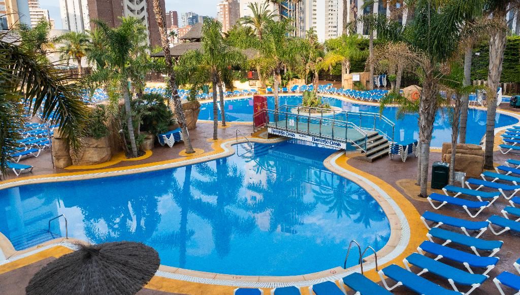 Flamingo Oasis, foto 10