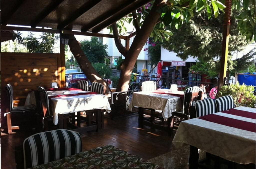 Green Palm, foto 4