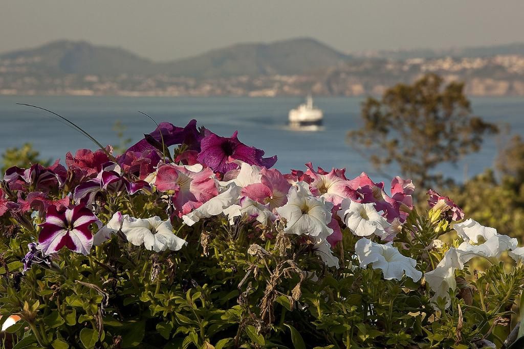 Hotel & Spa Continental Mare, foto 15